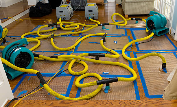 Professional Structural Drying And Dehumidification technician working in River Edge, NJ